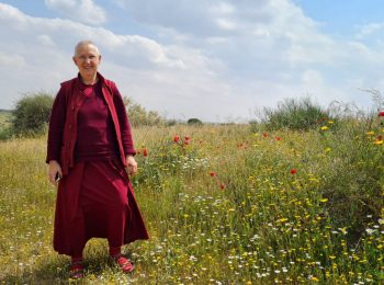 אני לוסנג בישראל, ספטמבר – דצמבר 2026