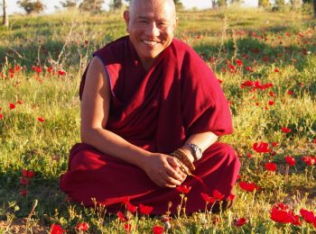 המורה ג'האדו רינפוצה יעביר מפגש קצר בזום, לתלמידים בישראל,  לימוד ועצות למצב הנוכחי בישראל