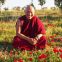 ג'האדו רינפוצ'ה : כל מה שרצינו לשאול, מפגש מקוון  –Online Q&A Session with Jhado Tulku Rinpoche