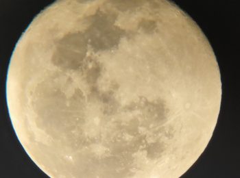 יום שני, 26.10, Full-Moon , Eight Mahayana Precepts