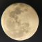 יום שני, 26.10, Monday, Full Moon – 8 Mahayana Precepts and Prostrations to the 35 Confession Buddhas